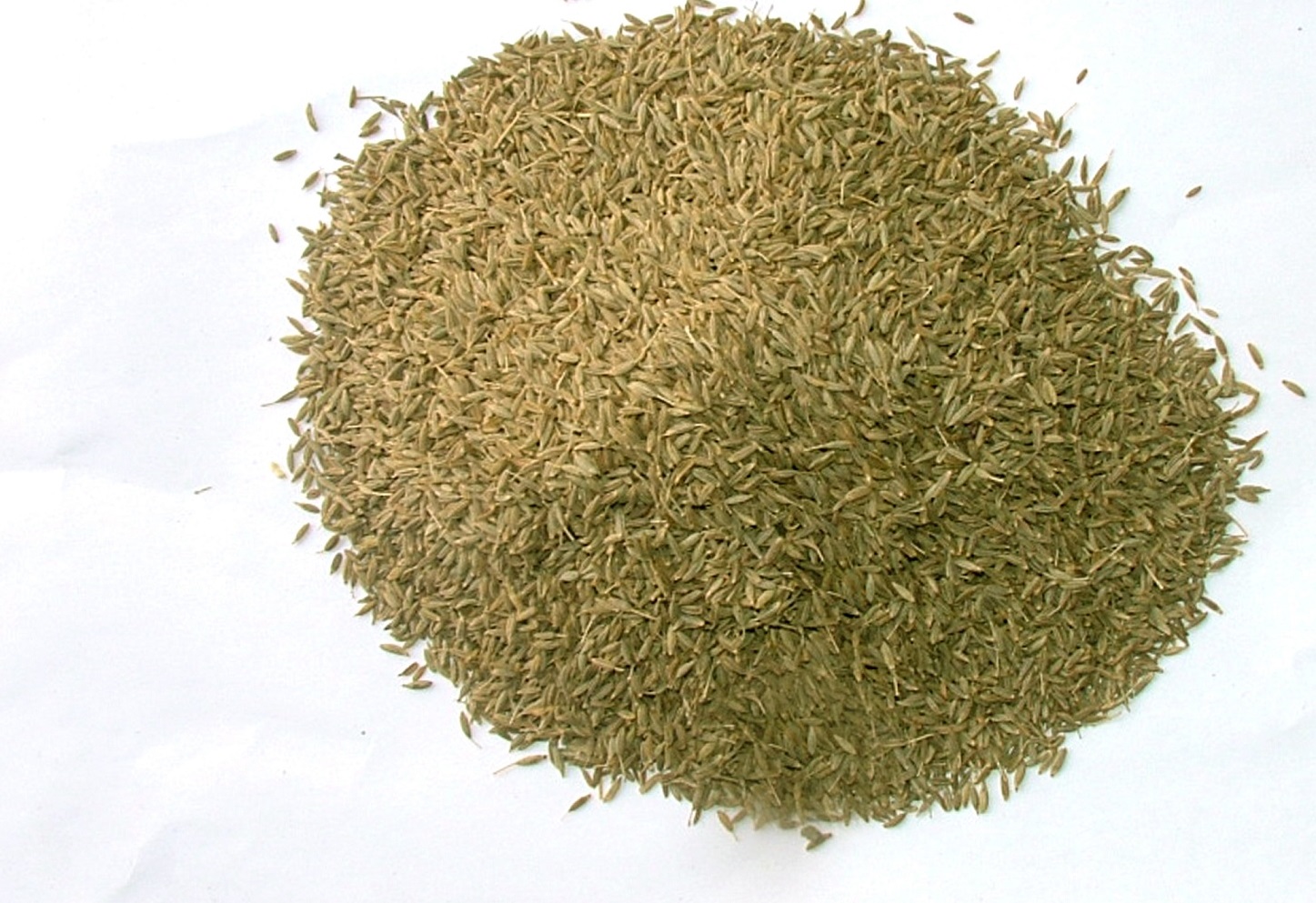 Coriander Seeds